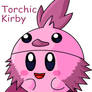 Kirby - Pink Torchic