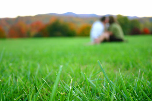 Couple in the grass