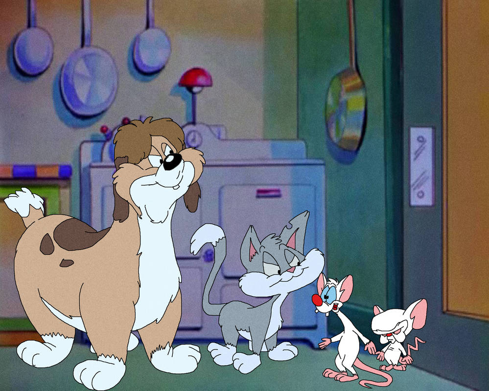 Rita and Runt vs Pinky and the Brain by TomArmstrong20 on DeviantArt