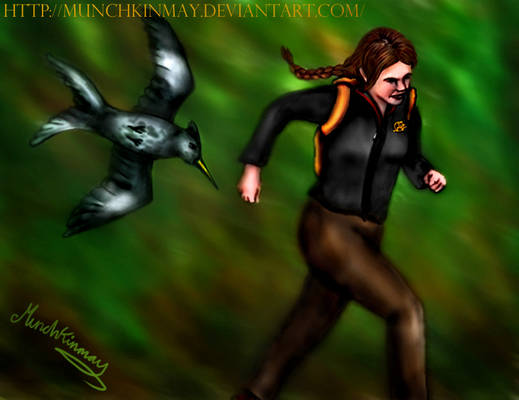 Fly swiftly Mockingjay!