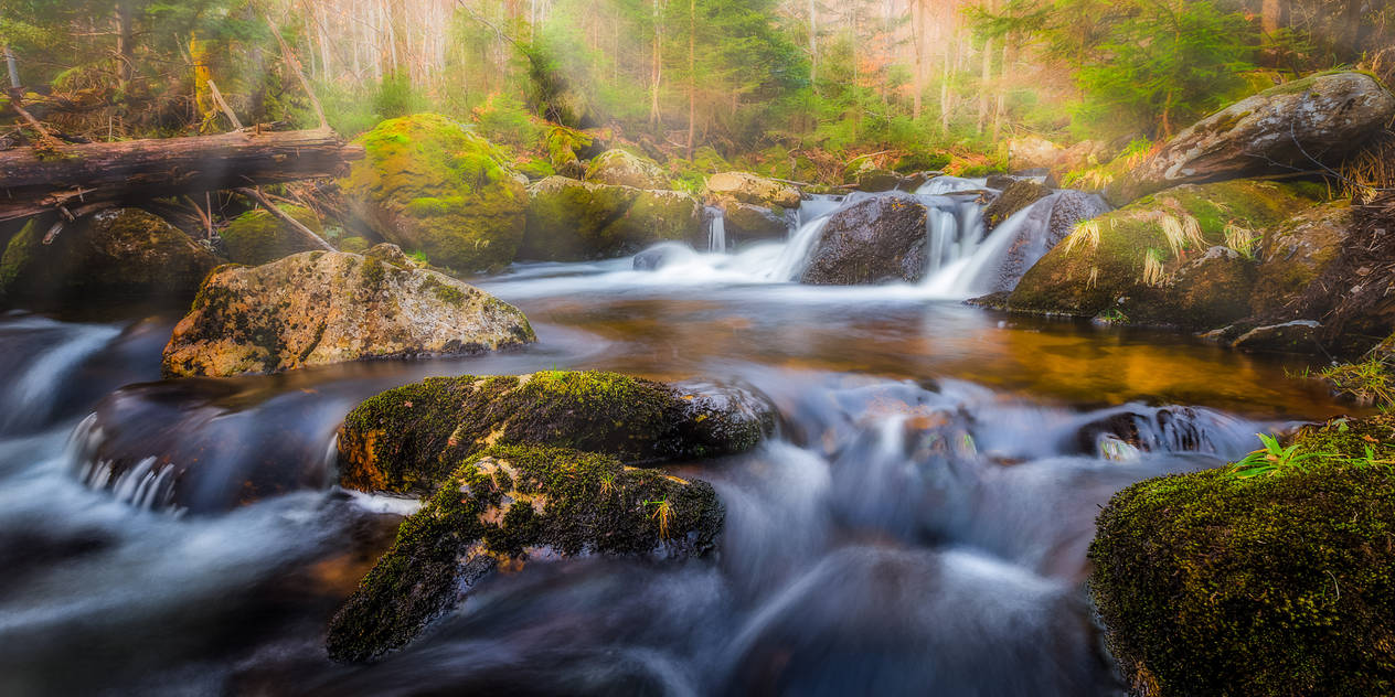 fairytale forest by StefanPrech fairytale forest by StefanPrech