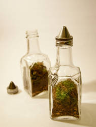 Two Moss Terrariums