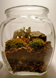 Moss Terrarium with White Wolf