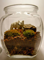 Moss Terrarium with White Wolf