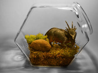 Dinorama Terrariums