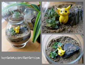 Pokemon Pikachu Terrarium