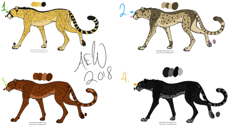 Cheetah adopts (3/4) OPEN