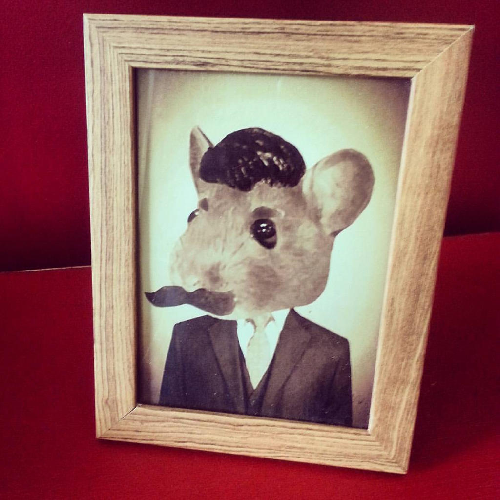 Sr.Rata by Fleke on DeviantArt