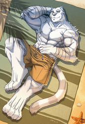 Mercenary of  Grimoire of Zero