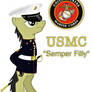 UNITED STATES MARINE CORPS