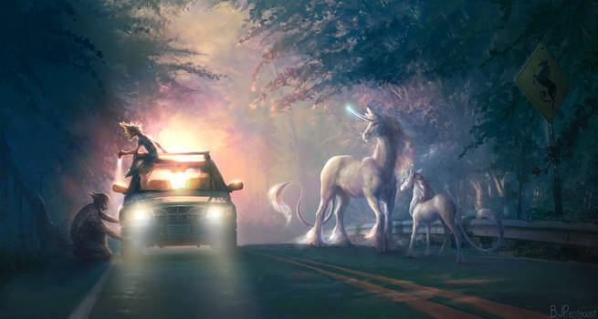 Unicorn Crossing