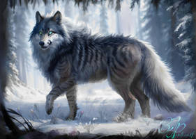 Striped Direwolf