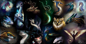 Dragon Spots 1