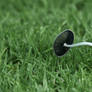 Searching Mushroom