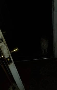 Let me In