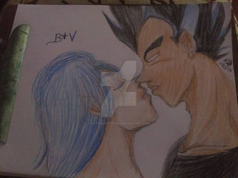 Bulma and Vegeta