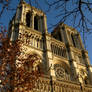 Notre Dame Cathedral Autumn 2