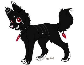 Puppy Adoptable Completely FREE -Closed-