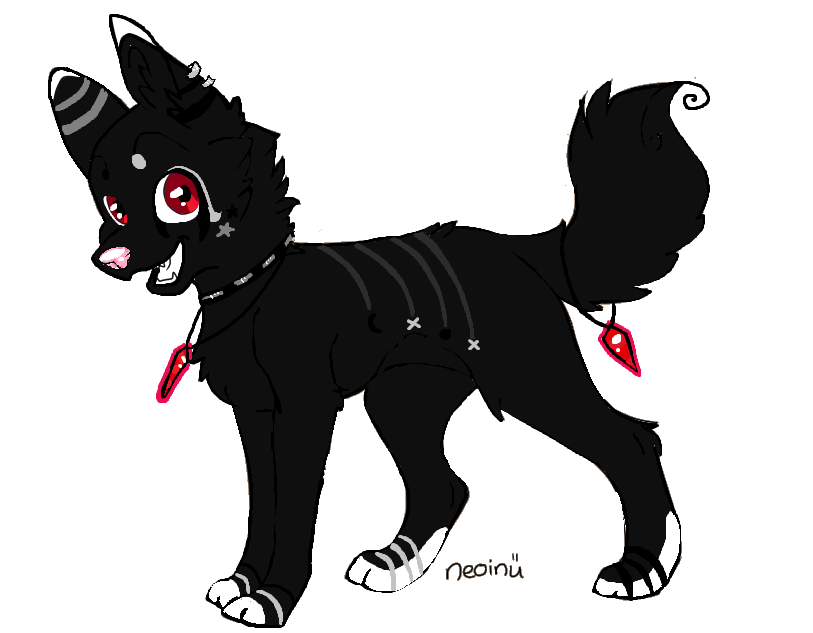 Puppy Adoptable Completely FREE -Closed-