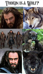 Thorin is...