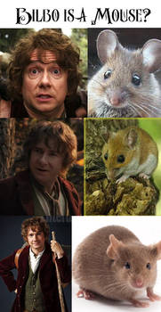 Bilbo is...