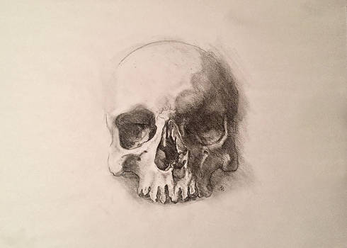 Traditional Skull Drawing