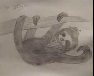 sloth by barko345 on DeviantArt