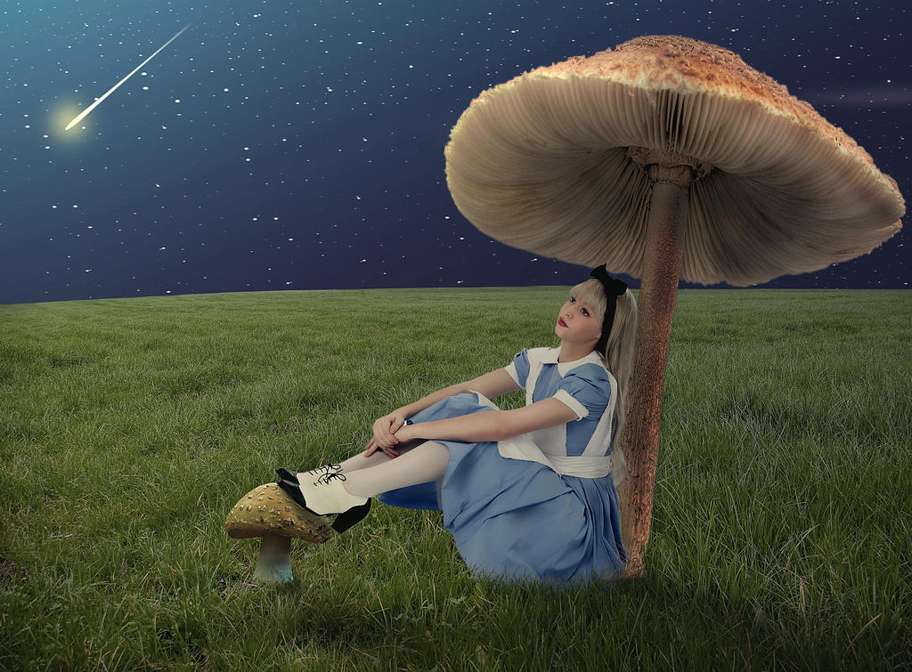 Alice in dreamland