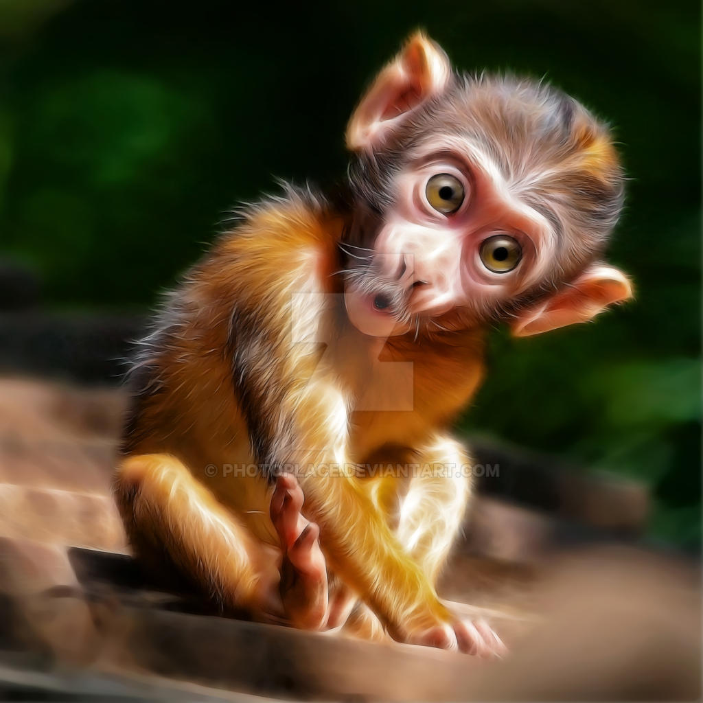 Stupid surprised monkey face by LJPhil on DeviantArt