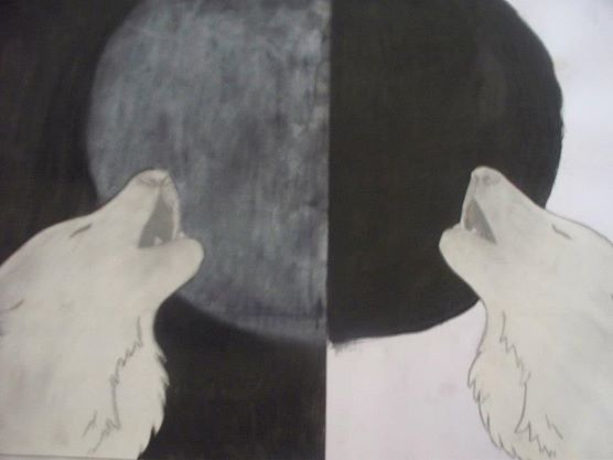 Two wolves