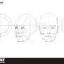 Head Proportions Reference Resource