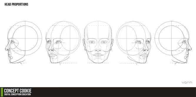 Head Proportions Reference Resource