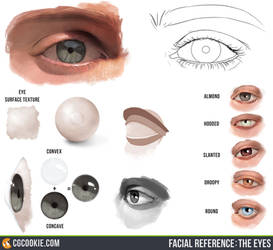 Facial Reference: The Eyes