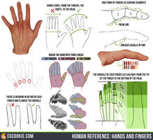 Human Reference: Hands and Fingers