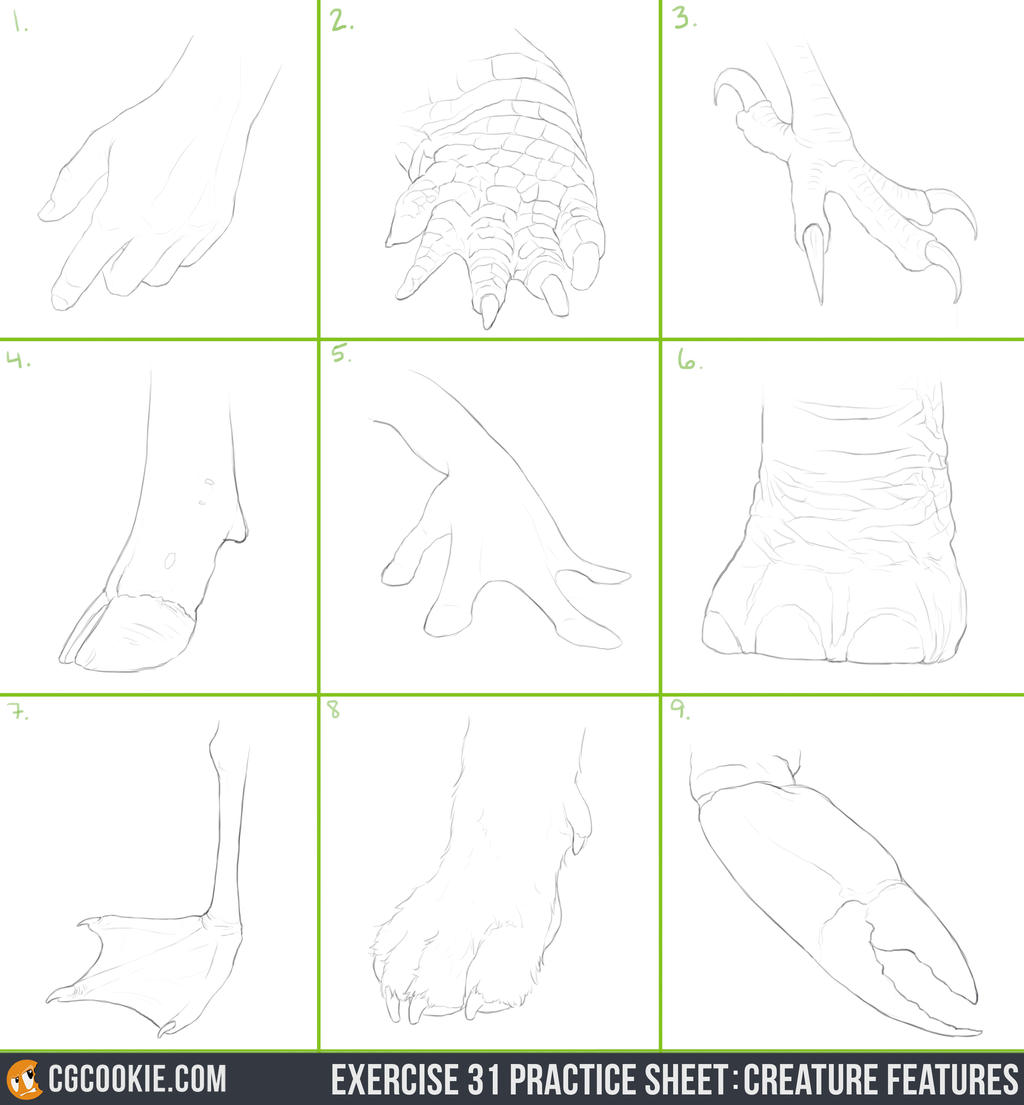 Exercise 31 Practice Sheet: Creature Features by CGCookie on DeviantArt