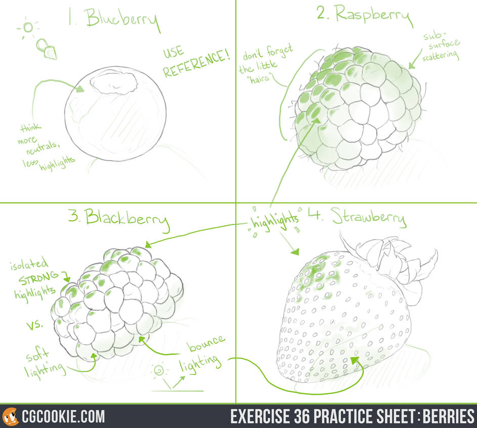 Exercise 36 Practice Sheet: Berries by CGCookie on DeviantArt