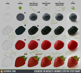 Exercise 36 Results: Berries Step by Step Chart