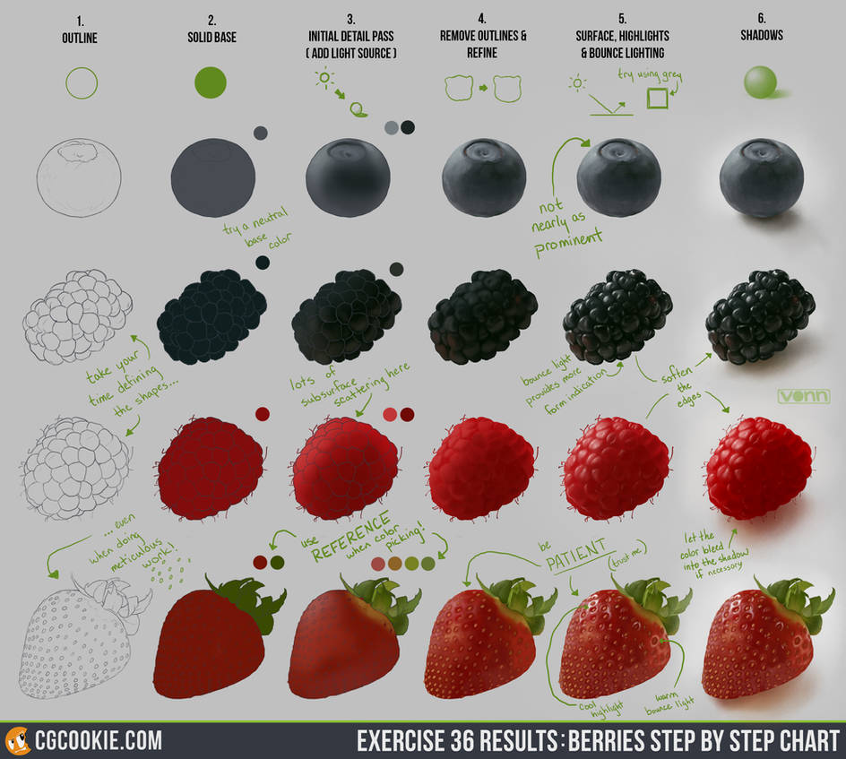 Exercise 36 Results: Berries Step by Step Chart by CGCookie on DeviantArt