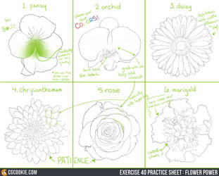 Exercise 40 Practice Sheet: Flower Power