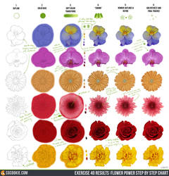 Exercise 40 Results: Flowers Step by Step Chart