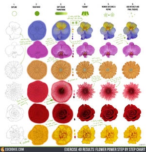 Exercise 40 Results: Flowers Step by Step Chart