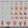 Exercise 43 Results: Hand Gestures Step by Step