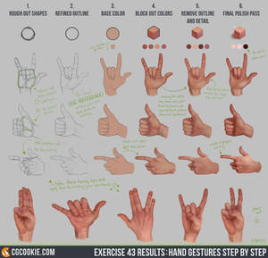 Exercise 43 Results: Hand Gestures Step by Step