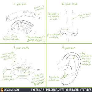 Exercise 51 Practice Sheet: Your Facial Features