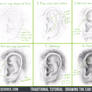 Tutorial: Drawing the Ear Step by Step