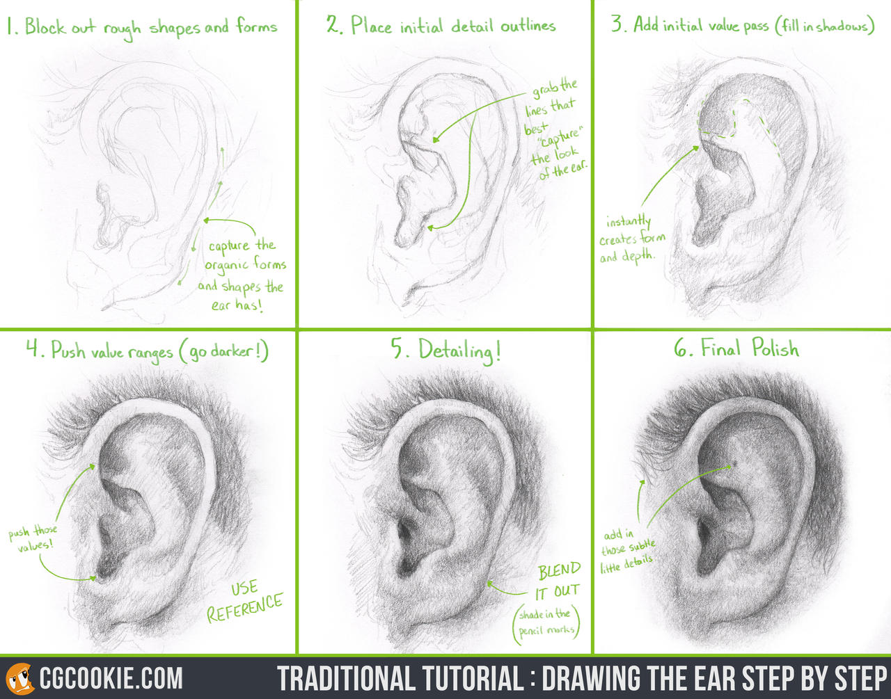 Tutorial: Drawing the Ear Step by Step by CGCookie on DeviantArt