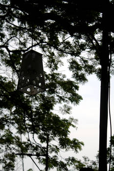 Little Lantern in the Tree