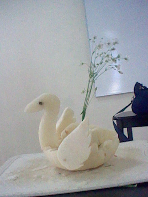 Swan