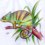 Chameleon