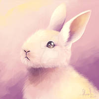 Bunbun